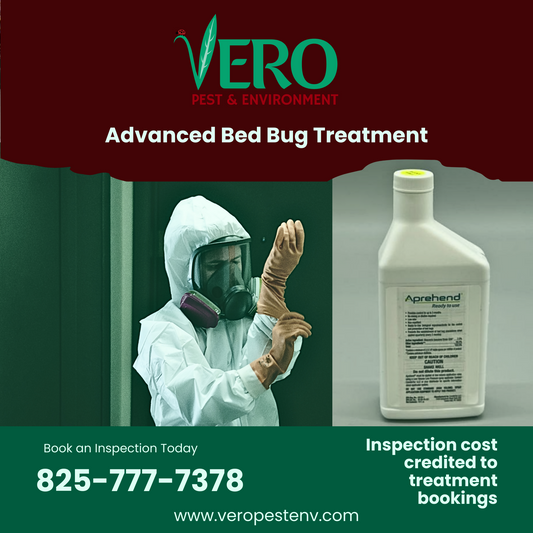 Bed Bug Inspection & Treatment Quote