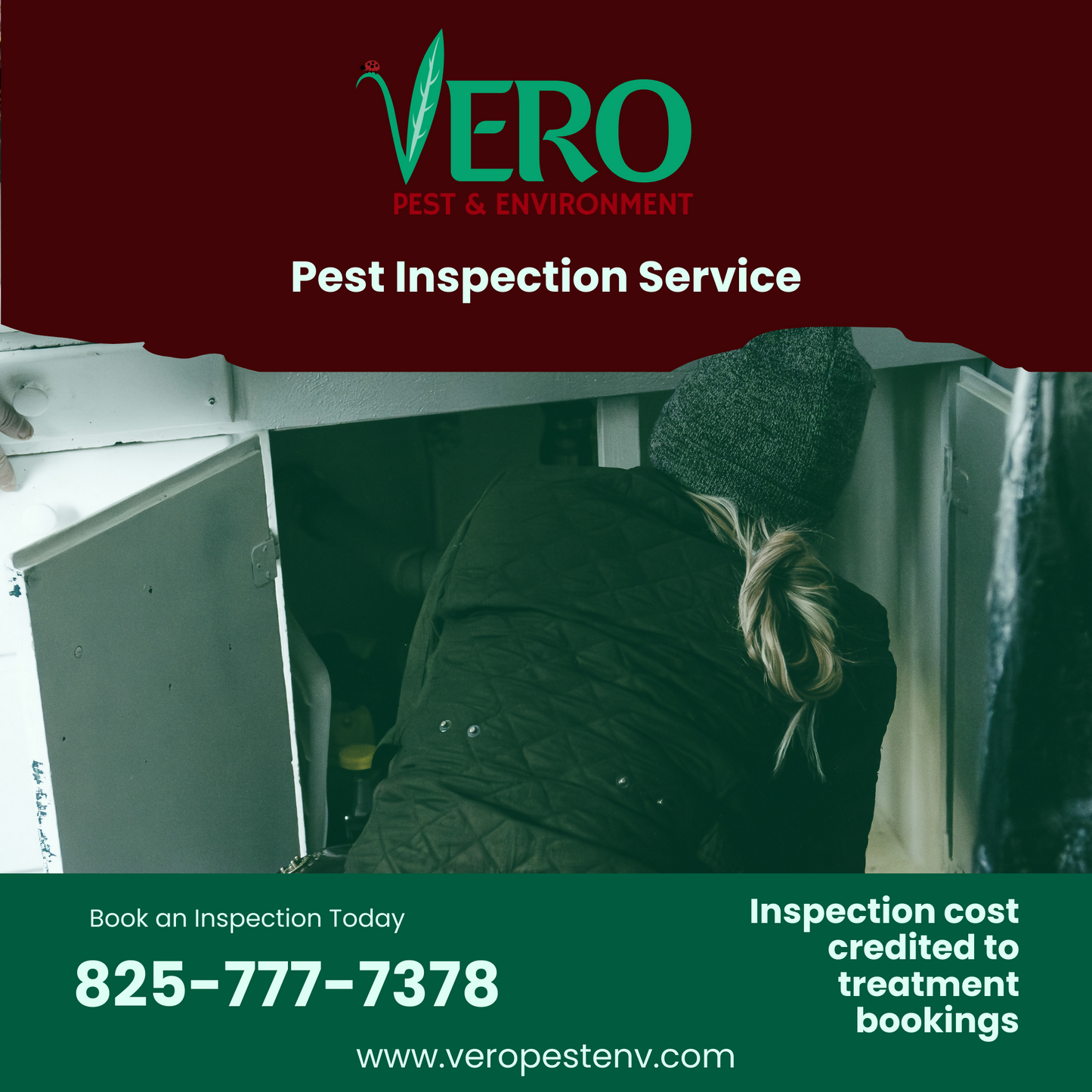 Pest Inspection & Assessment