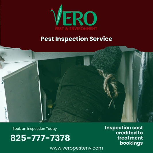 Pest Inspection & Assessment