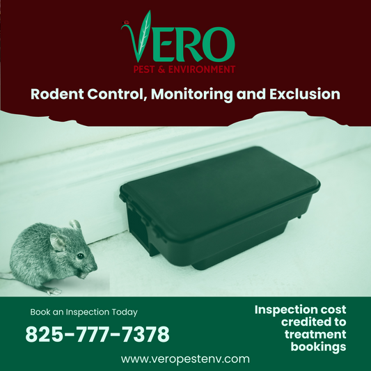 Rodent Inspection & Treatment Quote
